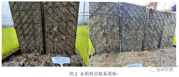 臺州農資