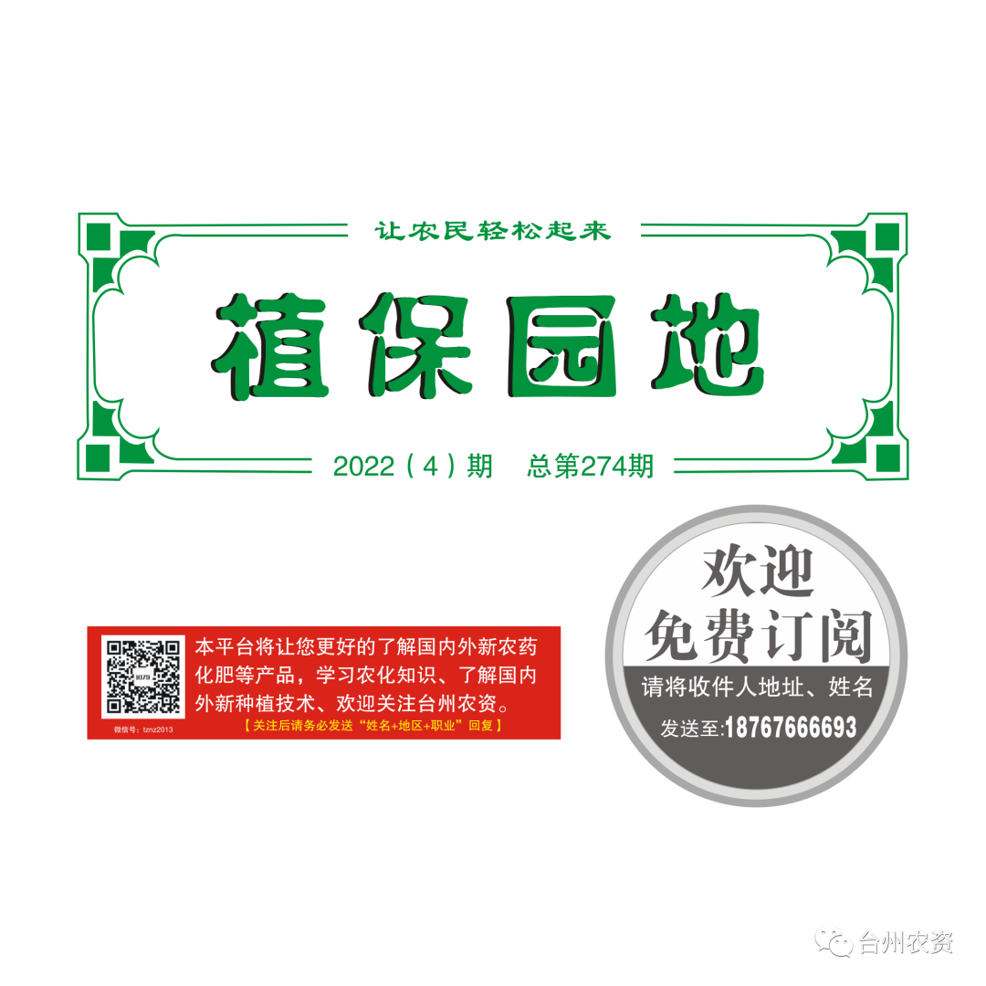 氣溫驟降，大棚西瓜做好以下幾點(diǎn)工作
