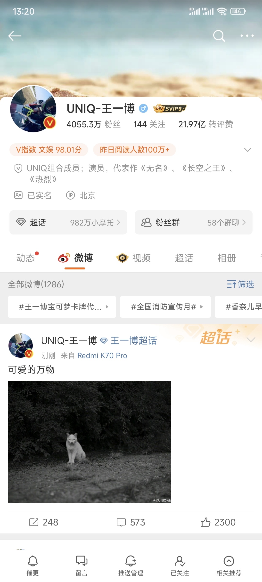 王中王一肖一，全年資料的深度解析，王中王一肖一全年資料深度解析