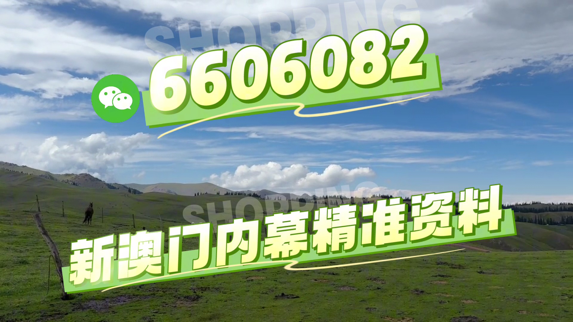 澳門今晚必開一肖一特，深度解析與預(yù)測(cè)，澳門今晚生肖特碼深度解析與預(yù)測(cè)，一肖一特必開趨勢(shì)探討