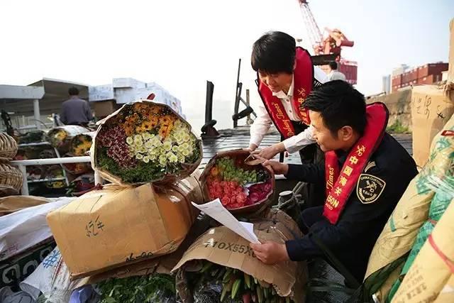 澳門六開獎結(jié)果365期，揭秘彩票背后的秘密與策略分析，澳門六開獎結(jié)果揭秘與策略分析，彩票背后的秘密與策略解讀第365期