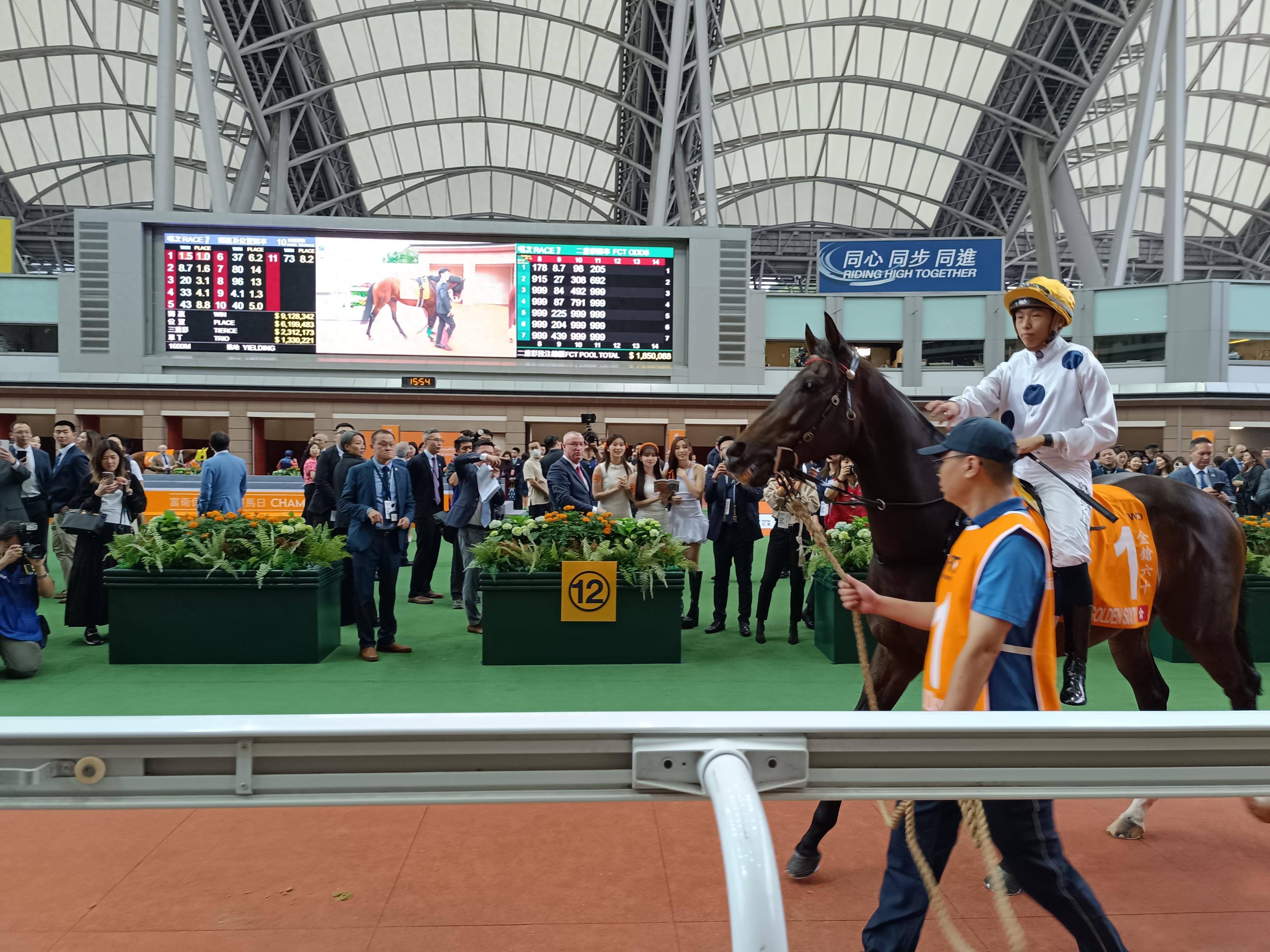 香港王中王一肖中特馬的奧秘與探索，香港王中王一肖中特馬的奧秘探索之旅