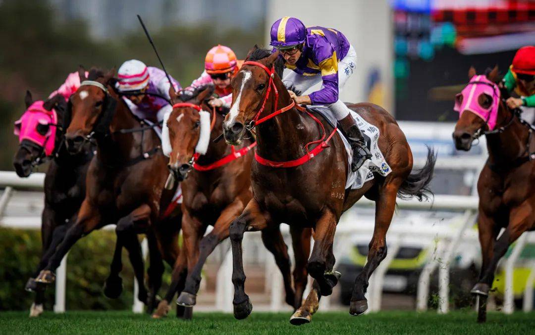 香港賽馬，探索賽馬運動的魅力與激情——7777788888的獨特魅力，香港賽馬，探索賽馬運動的激情與獨特魅力——7777788888的獨特體驗