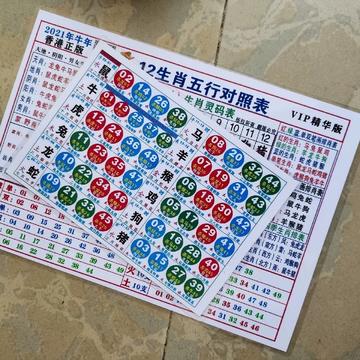 探索神秘的生肖之謎，揭秘肖十二碼中的生肖奧秘，揭秘生肖之謎，探索神秘的肖十二碼奧秘