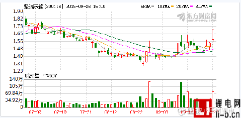 深入解析堅(jiān)瑞沃能股吧——探尋其背后的潛力與價(jià)值，深入解析堅(jiān)瑞沃能股吧，探尋潛力與價(jià)值展望
