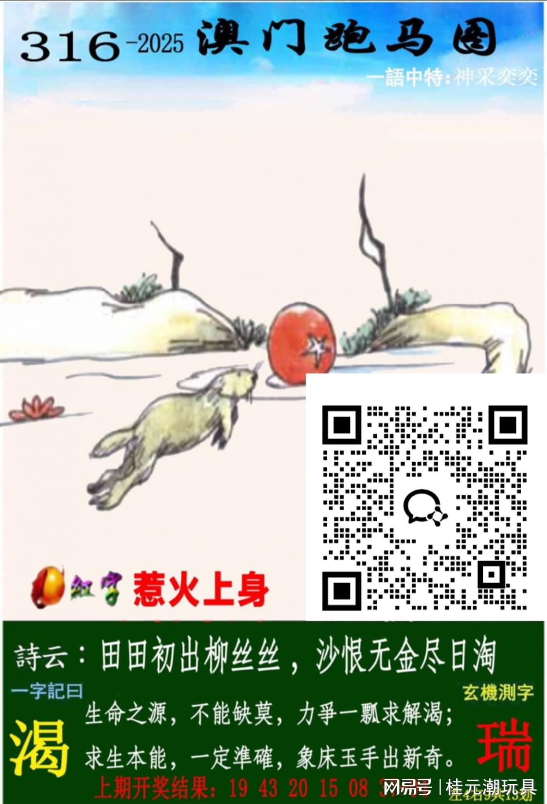 2025新澳精準(zhǔn)資料大全——全面解析與深度探索，2025新澳精準(zhǔn)資料大全，全面解析與深度探索指南