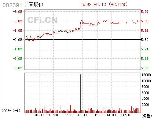 長青股份股票，深度解析與前景展望，長青股份股票深度解析及未來前景展望