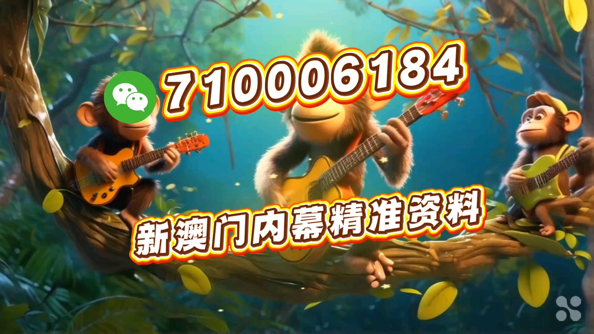 澳門今晚必開一肖一馬，探索生肖與運勢的神秘面紗，澳門生肖運勢揭秘，探索生肖與運勢的神秘面紗