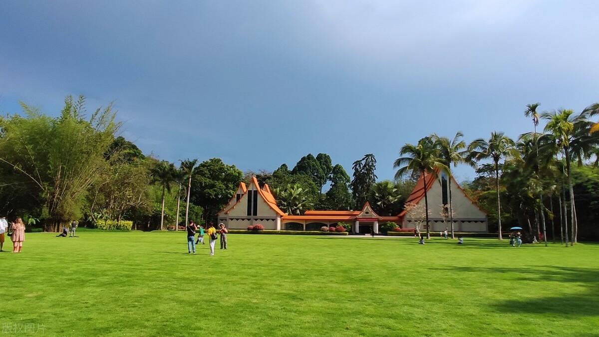 西雙版納景點圖片，自然之美的視覺盛宴，西雙版納自然美景圖片展，自然之美的視覺盛宴