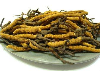 冬蟲夏草的吃法指南，如何攝取這一天然寶藏的營養(yǎng)？，冬蟲夏草的營養(yǎng)攝取指南，吃法與功效解析